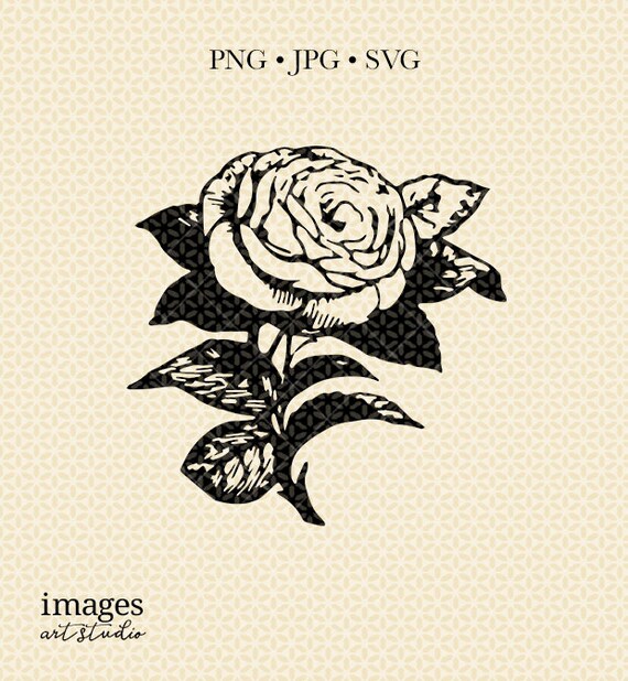 Download Rose Clipart Vintage Rose Clipart Digital Rose Art Vintage Etsy PSD Mockup Templates