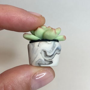 Miniature Polymer Clay Succulent