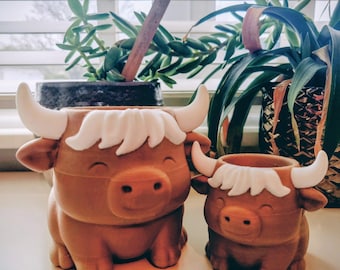 Highland Cow Planter – Animal Succulent Pot – 3D Printed Plant Pot – Gift for Plant Lovers – Whimsical Desk Decor