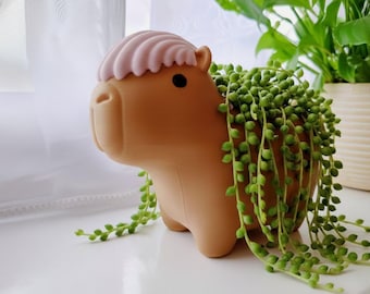 Schattige capibara plantenbak met franje - kawaii dierenplantpot - grappig cadeau bureaudecoratie - succulente plantenbak - schattige dieren plantenbak