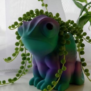 Puede incluir: Una maceta con forma de camaleón en degradado de verde azulado, morado y verde. Contiene una planta colgante con pequeñas hojas redondas verdes. El camaleón tiene ojos grandes y redondos y está sobre una superficie blanca.