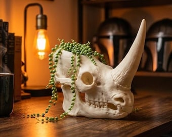 Mudhorn Skull Planter - Clan Of Two - Star Wars Gift - Gothic Succulent Pot - 3D Printed - Mandalorian Fan Gift - Bookshelf Decor
