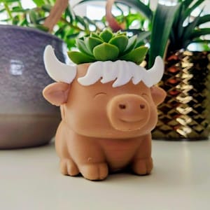 May include: A brown bull-shaped planter with white horns and a white fringe detail, holding a green succulent plant. The planter has a smiling face and is a decorative item for home or office. The planter is approximately 10 cm tall.