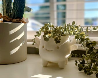 Niedlicher Axolotl Blumentopf – 3D gedruckter Pflanzentopf – Geschenk für Pflanzenliebhaber – süsser Schreibtisch Dekor