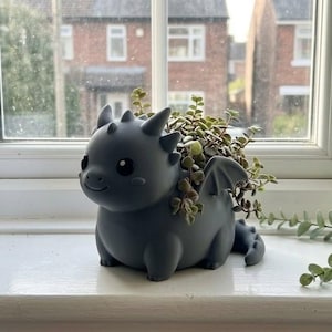 Puede incluir: Una maceta con forma de dragón gris oscuro, llena de pequeñas plantas verdes. A la izquierda, una maceta de cerámica blanca y acanalada con un cactus. La maceta de dragón tiene una cara sonriente, alas y cuernos.