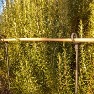 Support de vivaces, support de vivaces avec anneau forgé, bordure de massif, piquet de jardin image 1