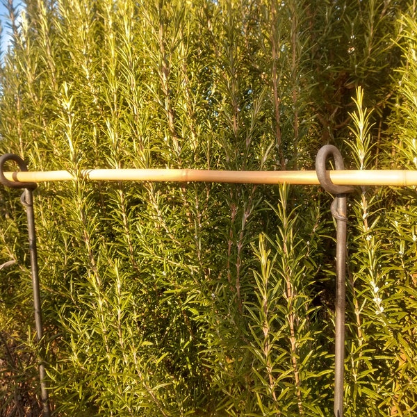 Staudenhalter, Staudenstütze mit geschmiedetem Ring, Beetbegrenzung, Gartenstab