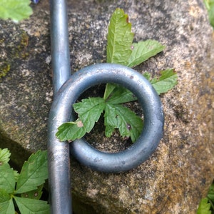 Plant stick with rings, perennial holder, bed border image 5