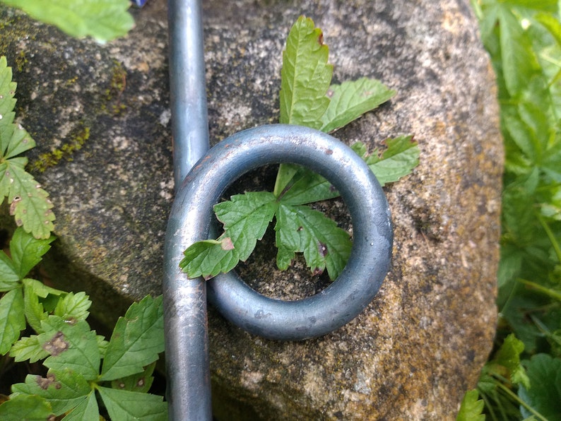 Plant stick with rings, perennial holder, bed border image 5