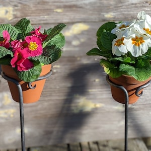 Puede incluir: Dos plantas en maceta con flores en soportes de metal. La planta de la izquierda tiene flores rosas y la planta de la derecha tiene flores blancas.