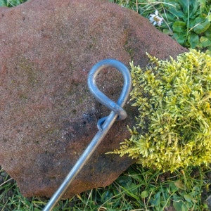 Perennial holder, perennial support with forged ring, bed border, garden stick image 3