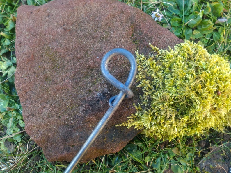 Perennial holder, perennial support with forged ring, bed border, garden stick image 3