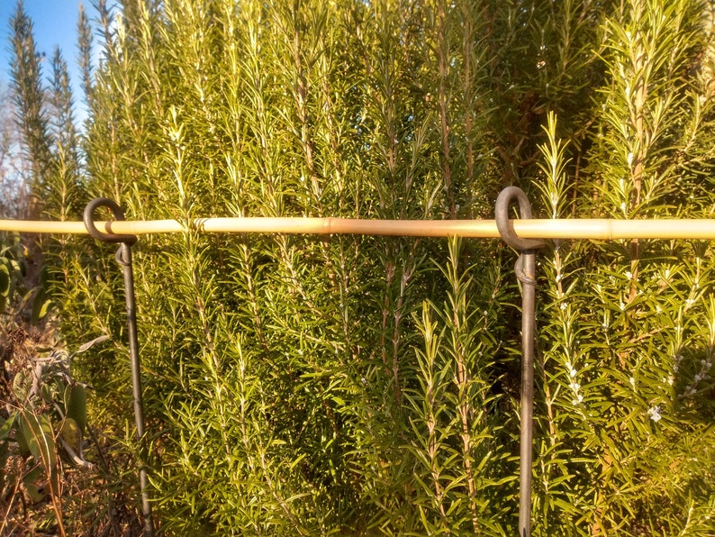 Support de vivaces, support de vivaces avec anneau forgé, bordure de massif, piquet de jardin image 1