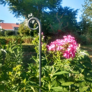 Perennial holder, bed border, plant stake with a ring,