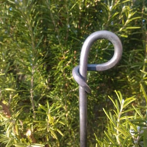 Perennial holder, perennial support with forged ring, bed border, garden stick image 2