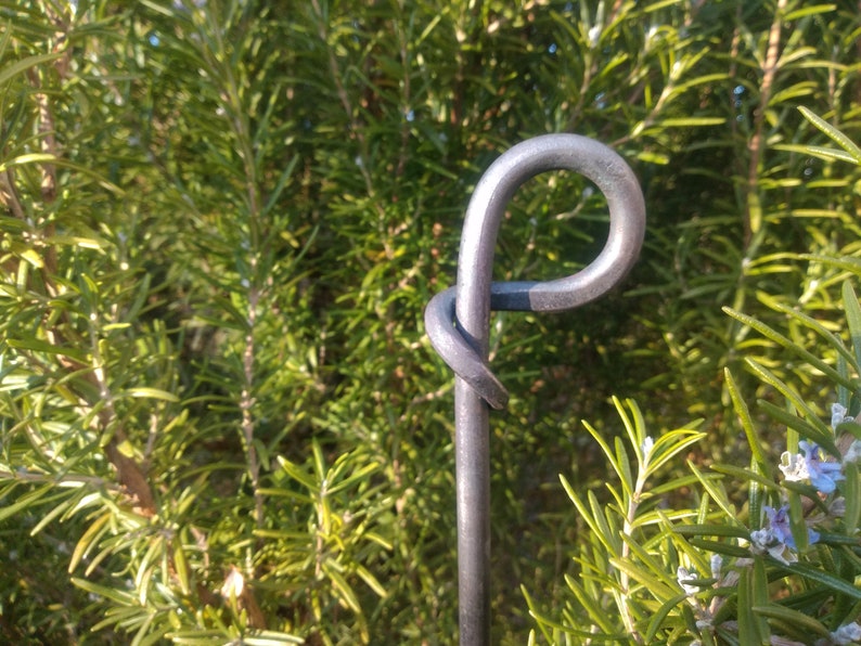 Perennial holder, perennial support with forged ring, bed border, garden stick image 2