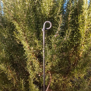 Perennial holder, perennial support with forged ring, bed border, garden stick image 5