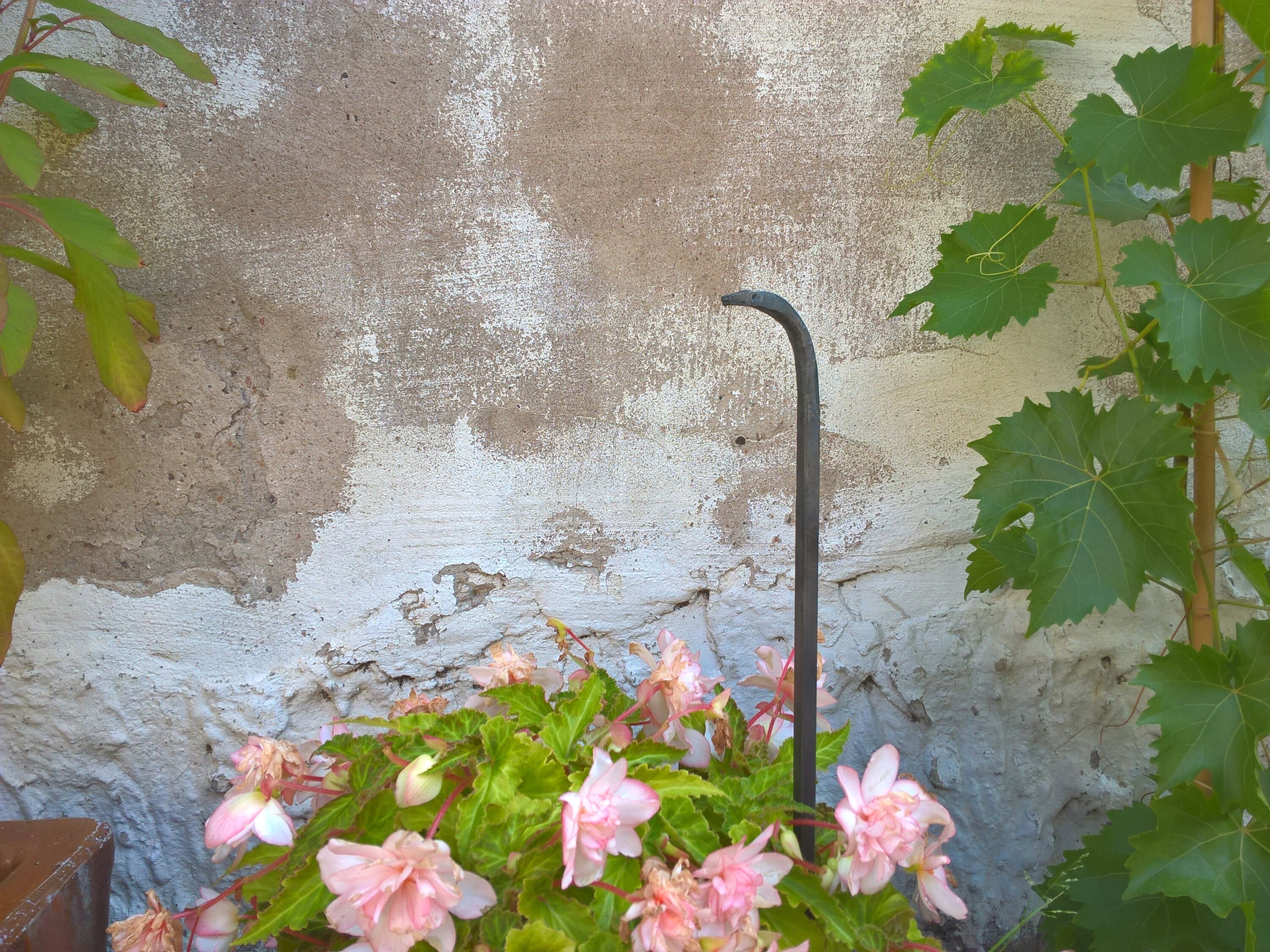 Metal rod, decorative rod, decorative rod with forged snake head