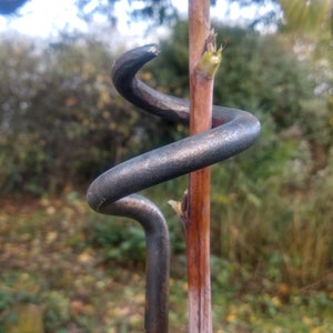 Plant holder, garden stake, plant stake with spiral
