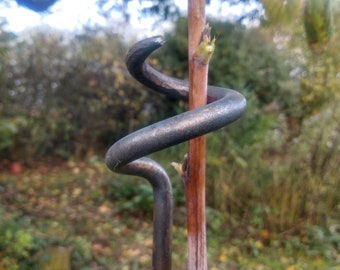 Plant holder, garden stick, plant stick with spiral