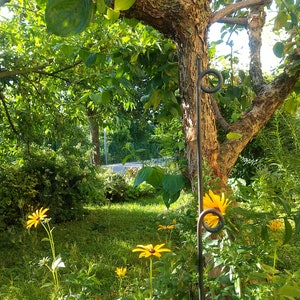 Plant stick with rings, perennial holder, bed border image 3