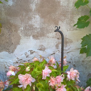 Könnte beinhalten: Ein schmiedeeiserner Pflanzenhänger mit dekorativer Spitze, platziert über einem Beet aus rosa Blüten und grünen Blättern. Der Hintergrund zeigt eine verwitterte Wand mit weißen Farbflecken und grünen Blättern.