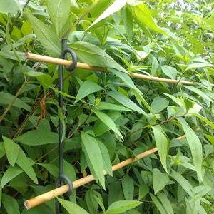 Plant stick with rings, perennial holder, bed border image 1