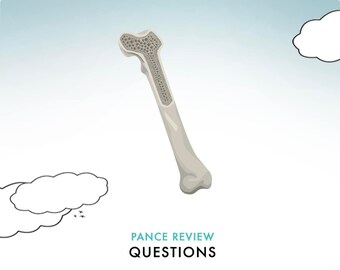 Preguntas de práctica musculoesqueléticas de PANCE: Revisión de la Junta Escolar de Pensilvania (QBank)
