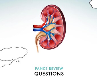 Preguntas de práctica genitourinaria de PANCE: Revisión de la Junta Escolar de Pensilvania (50 preguntas)