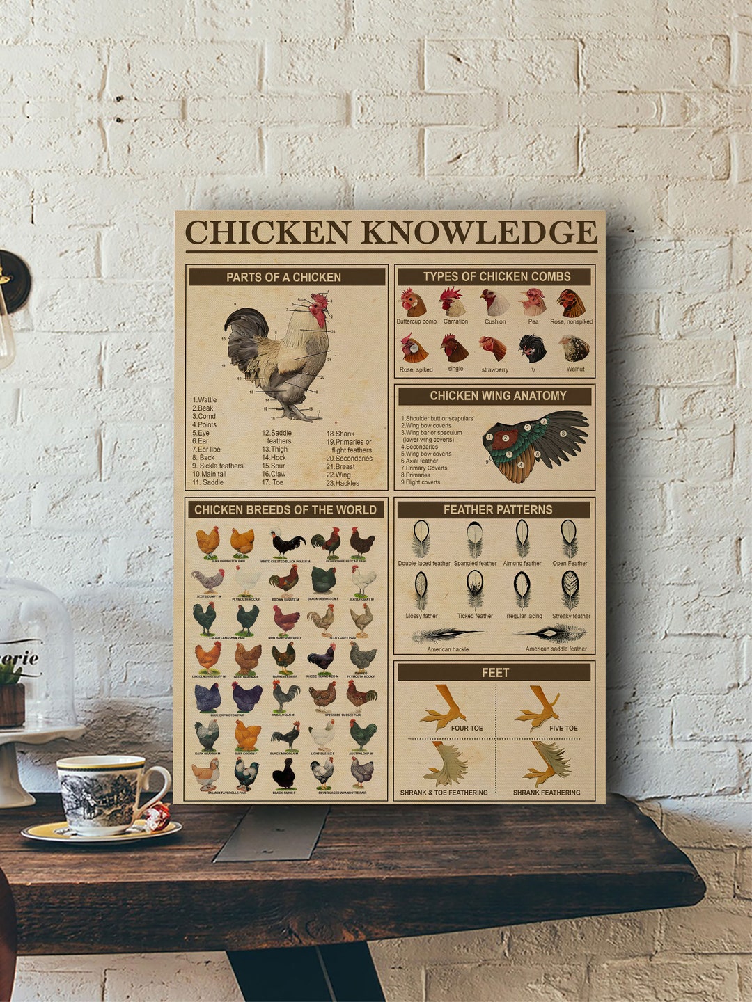 Chicken Knowledge Poster or Canvas Chicken Breeds of the Etsy