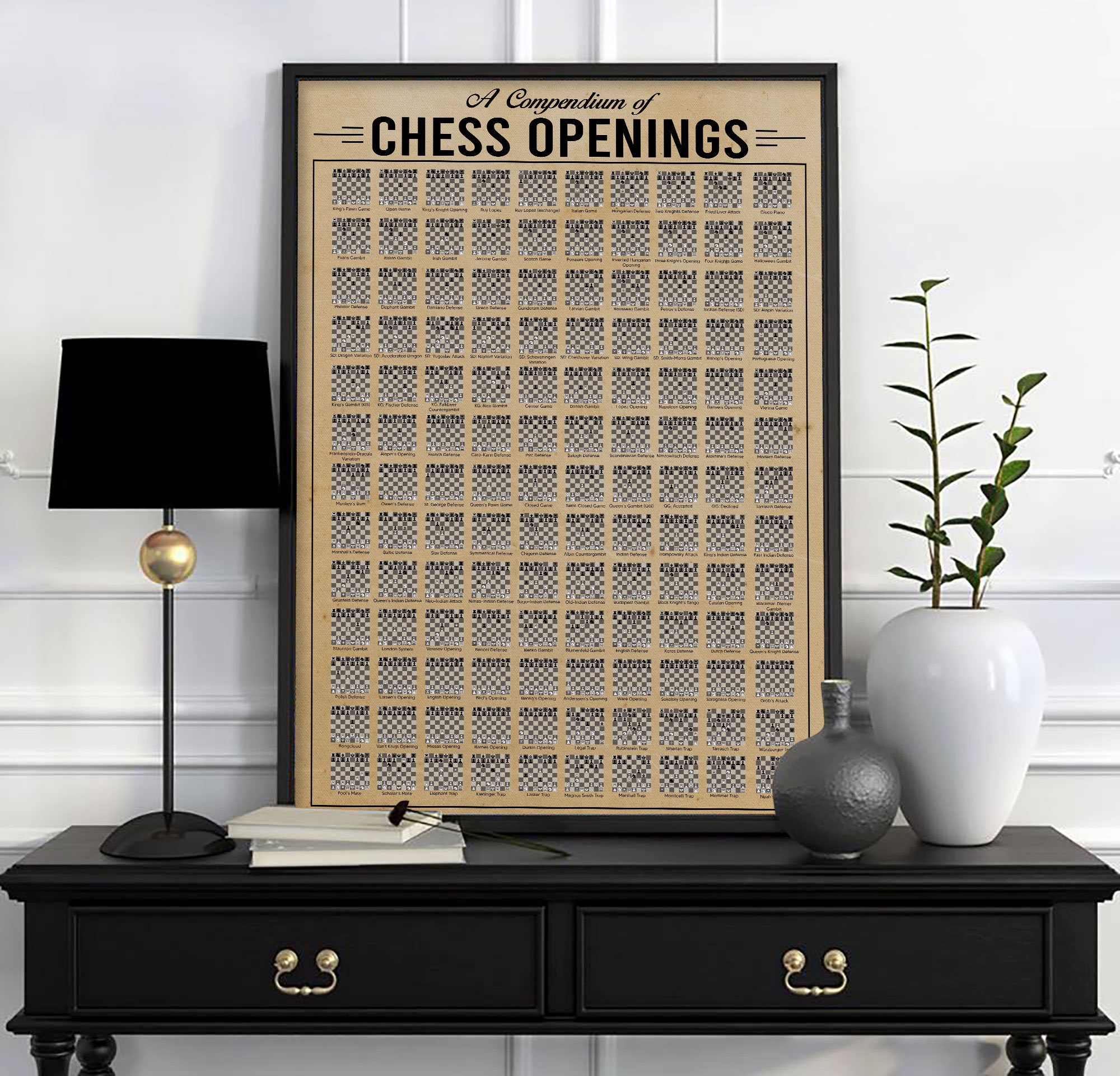 A compendium of chess openings : r/coolguides