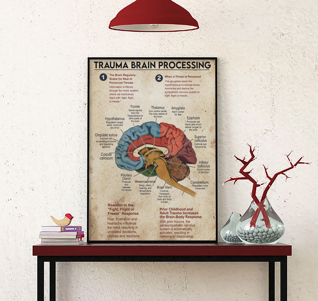 Trauma Brain Processing Poster or Canvas Brain Anatomy Wall - Etsy