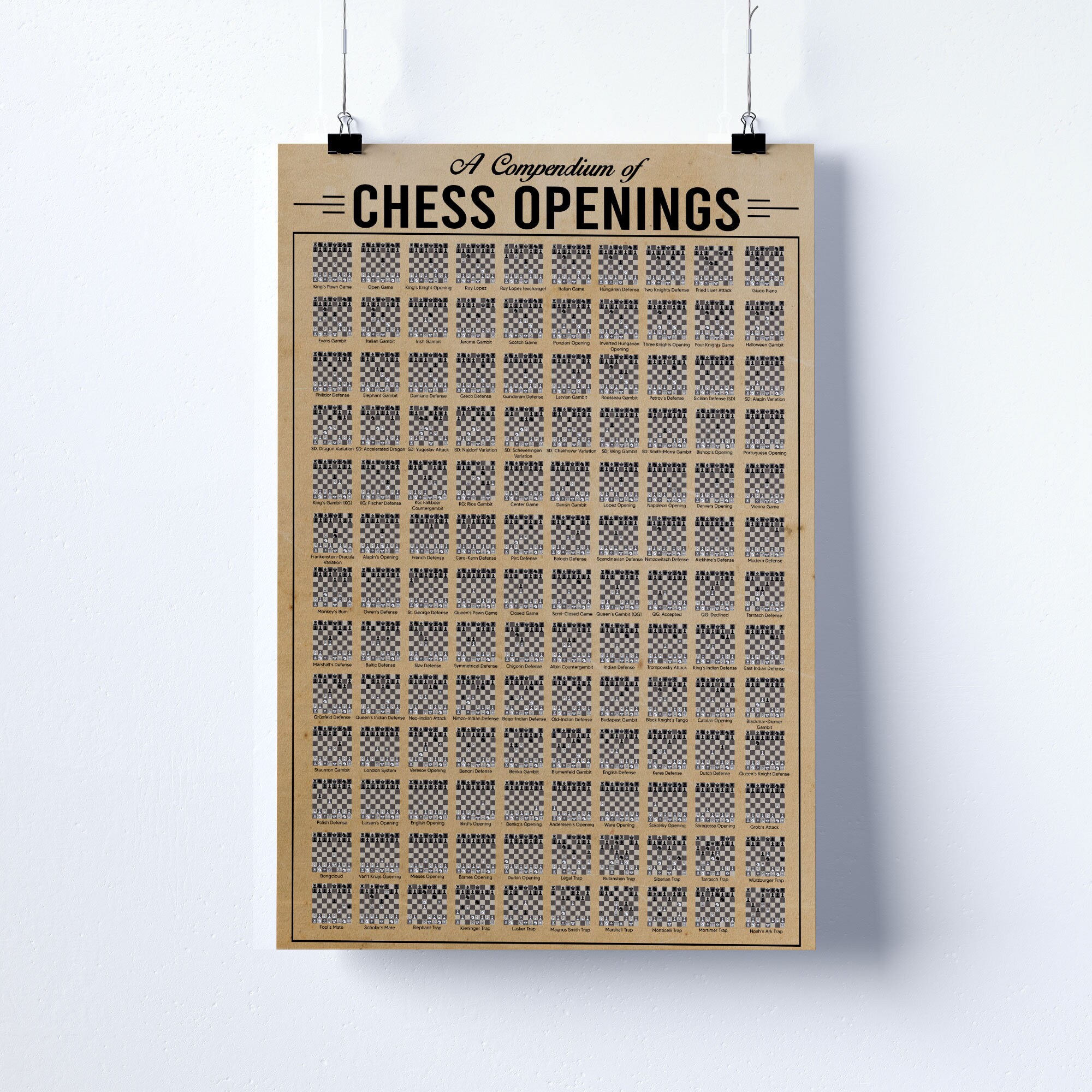 A compendium of chess openings : r/coolguides