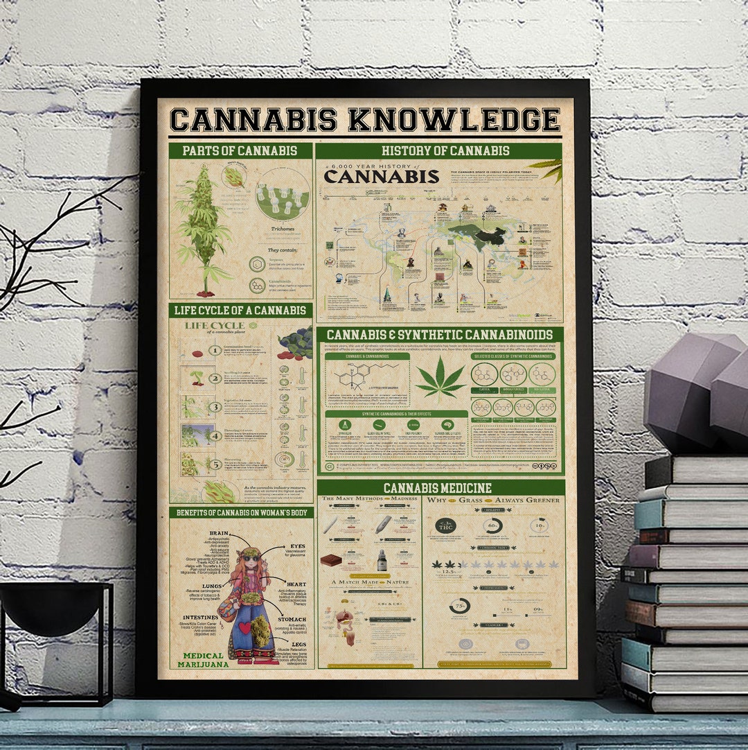 Cannabis Knowledge Poster or Canvas, Marijuana Knowledge Vintage Wall