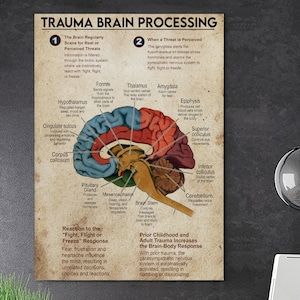 Trauma Brain Processing Poster or Canvas Brain Anatomy Wall - Etsy