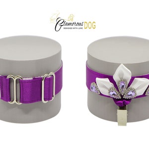 Dog show armband number holder - Princess dream - dark magenta (purple)