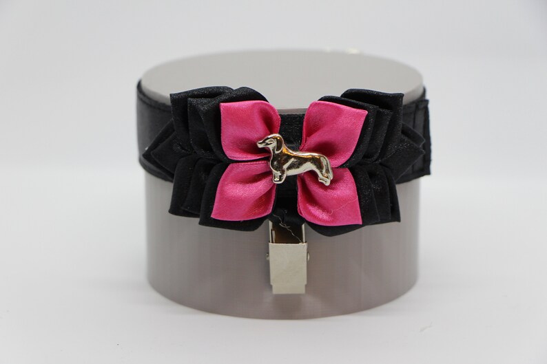 Dog Show Armband Number Holder DACHSHUND Etsy