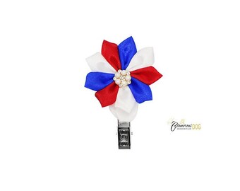Dog show clip for number holding - tricolor