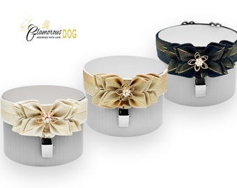 Dog show armband number holder - Gleam collection - cream, gold, black