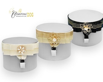 Dog show armband number holder - Gleam collection 2 - cream, gold, black
