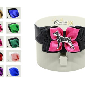 Dog show armband number holder - DOBERMAN