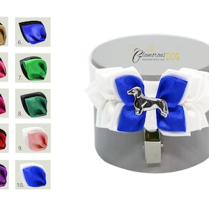 Dog show armband number holder - DACHSHUND