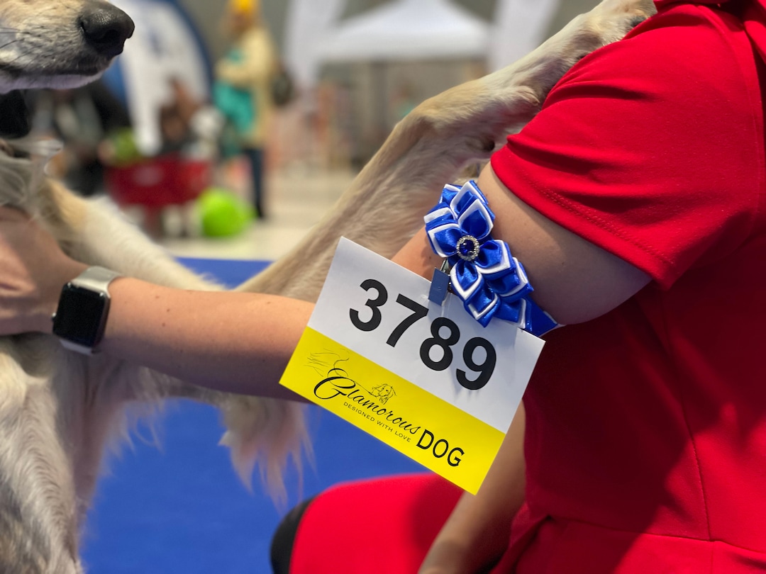 Dog Show Armband Number Holder Sense of Elegance True Blue & White Etsy