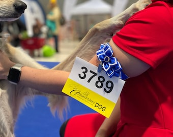 Dog show armband number holder - Sense of elegance - true blue & white