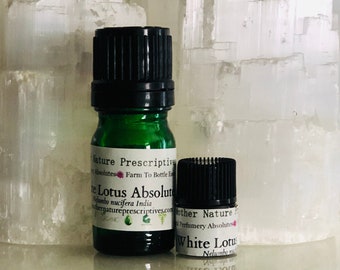 White Lotus Absolute Oil Nelumbo nucifera  Saraswati kamal Natural Perfumery Chakra Floral Anointing  Meditation Essential Oil Flower  Gift