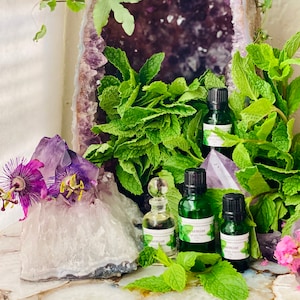 Spearmint Ätherisches Öl Mentha spicata USA 70% Carvone Blends With Rose And Jasmine DIY Mundwäsche und Zahnpasta Akne Behandlung Kopfschmerzen