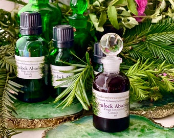 Hemlock Absolute  Black Tsuga canadensis Caramelized Evergreen Canada Hemlock West Coast Scent Canada Pitch Tree  Weeping Spruce