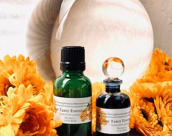 Blue Tansy Essential Oil Tanacetum Annuum Morocco Blue Tansy  Khellala Zarka Tanaisie Bleue Perfume Ingredient Perfume Supply Aromatherapy