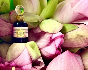 Roze lotus Absolute olie Hexaanvrij Nelumba nucifera Heilige lotus natuurlijk parfum Indiase lotusmeditatie Bloemenbloem Enfleurage