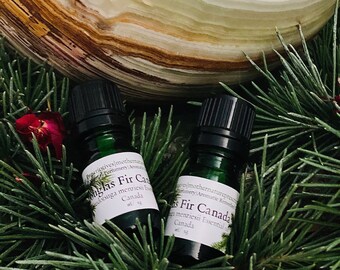 Douglas Fir Essential Oil Canada Fir Essential Oil  Pseudotsuga menziesii Pineapple Tree Balsamic Wood  DIY   Fathers Day Gift